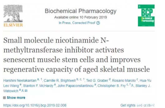 nmn nicotinamide mononucleotide 1000mg