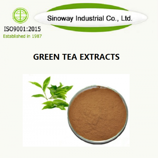 green tea extract powder
